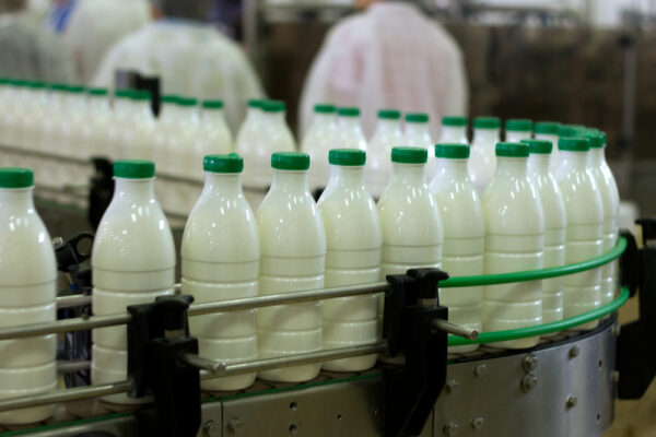 PRODUCTION OF BEVERAGES